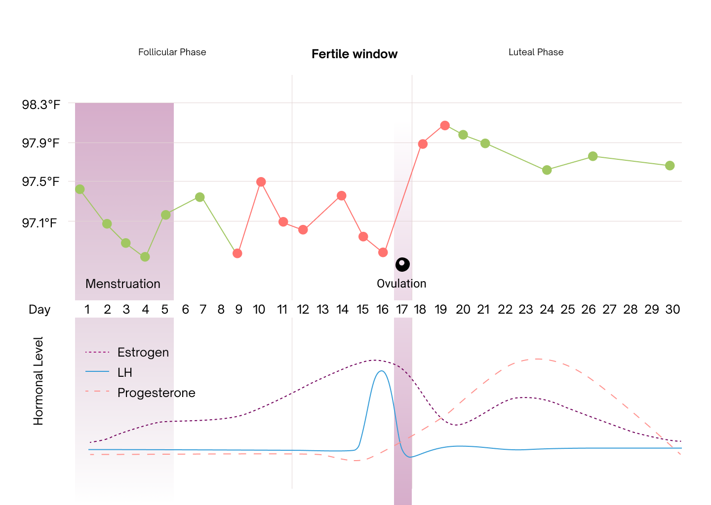 Natural Cycles - The length of the luteal phase is relatively