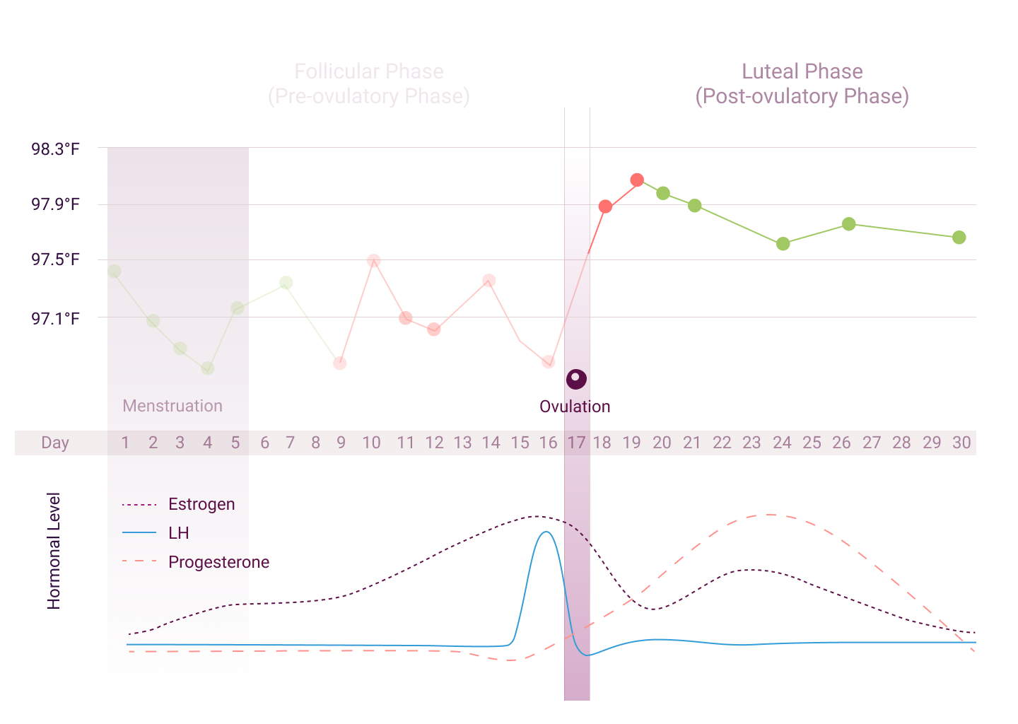 Your Luteal Phase🥚🌸 Spotting during your luteal phase is not normal