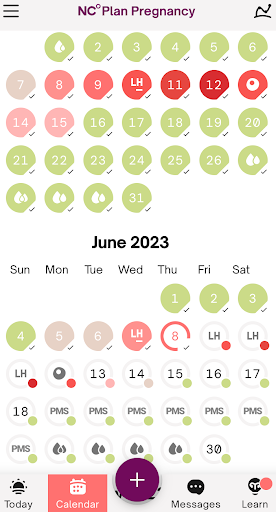 Which are the most fertile days to plan pregnancy?