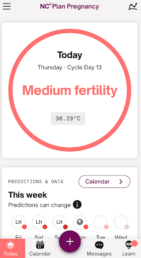 How Period Tracking Birthed the Calendar