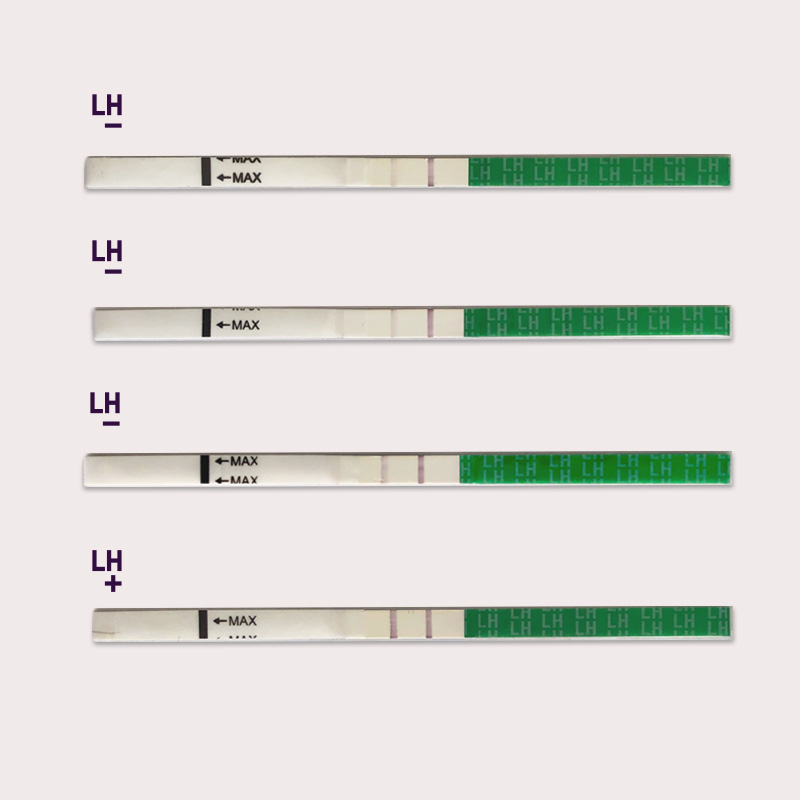 LH_tests.png