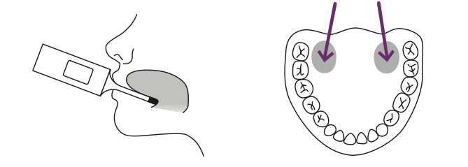 measuringdiagram.png