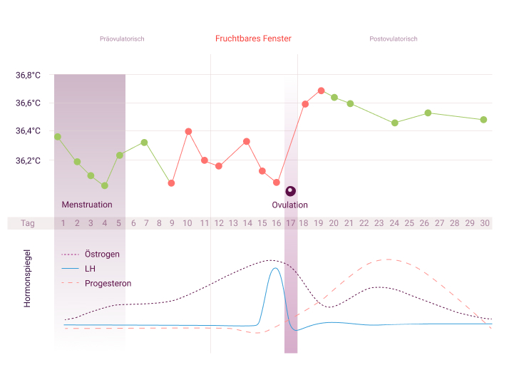 Was Ist Ein Eisprung Kundenservice Kontakt Natural Cycles