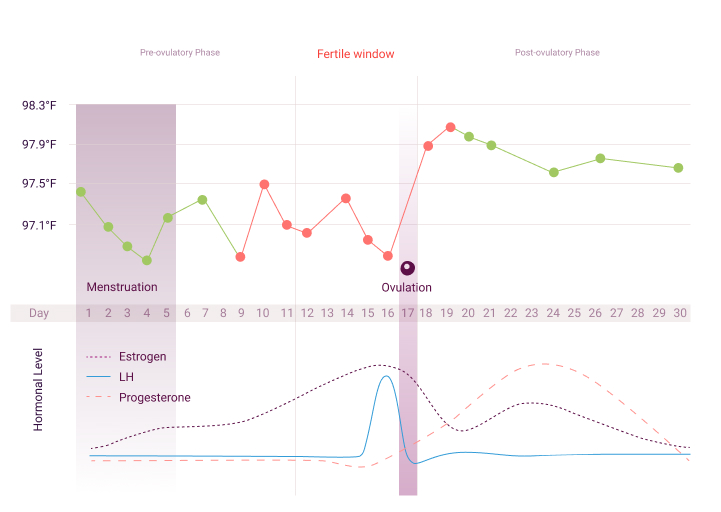 Daysy vs natural cycles